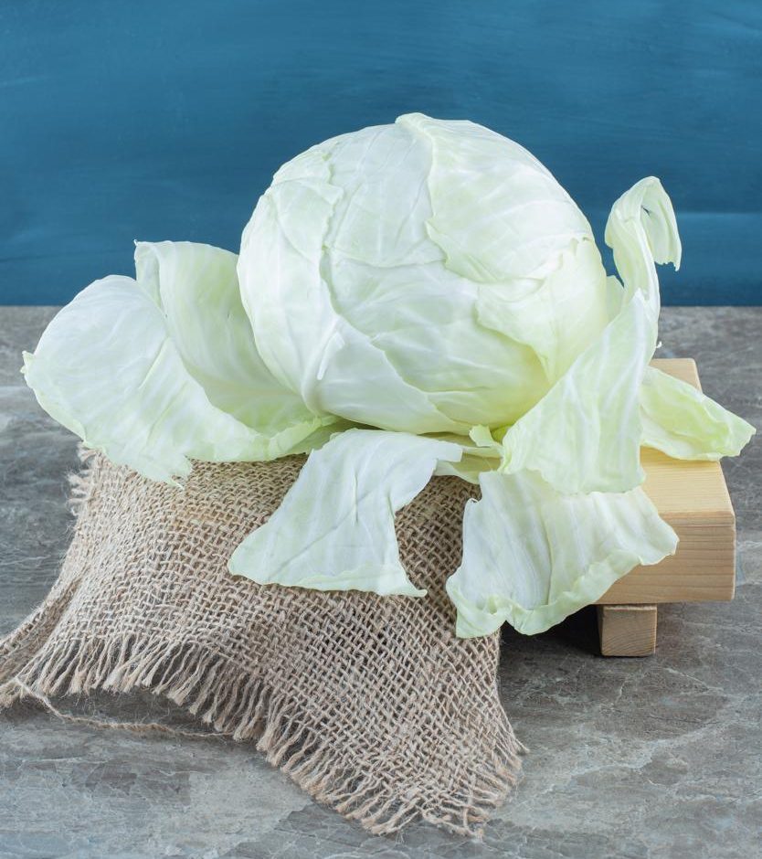 Kol Jadi Bintang Sayur 2026